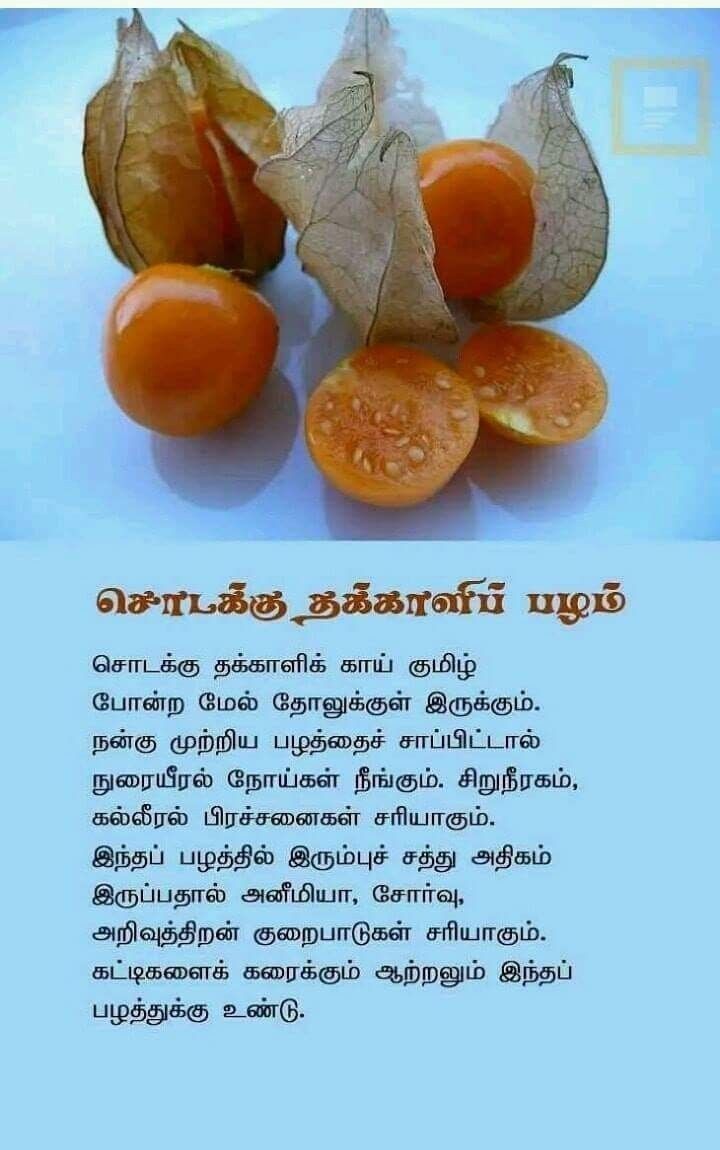 சொடக்கு தக்காளி பழம்