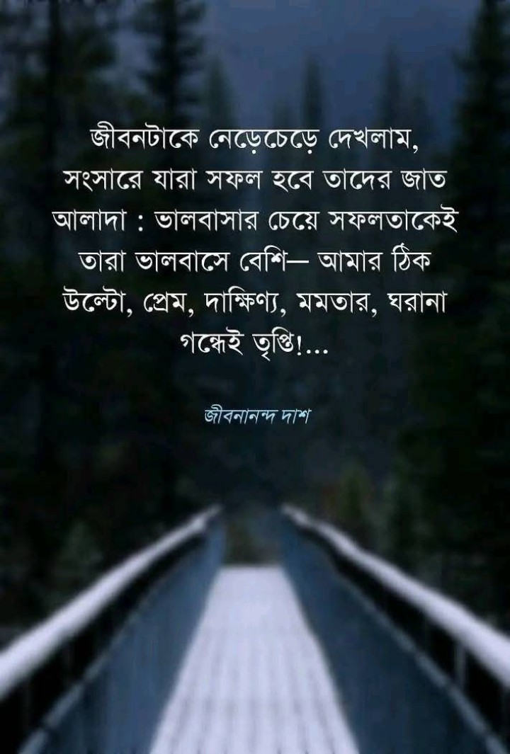 জীবনটাকে নেড়েচেড়ে দেখলাম...