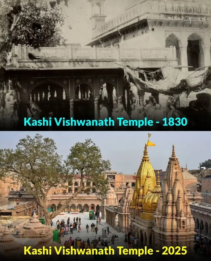 Kashi vishwanath temple
