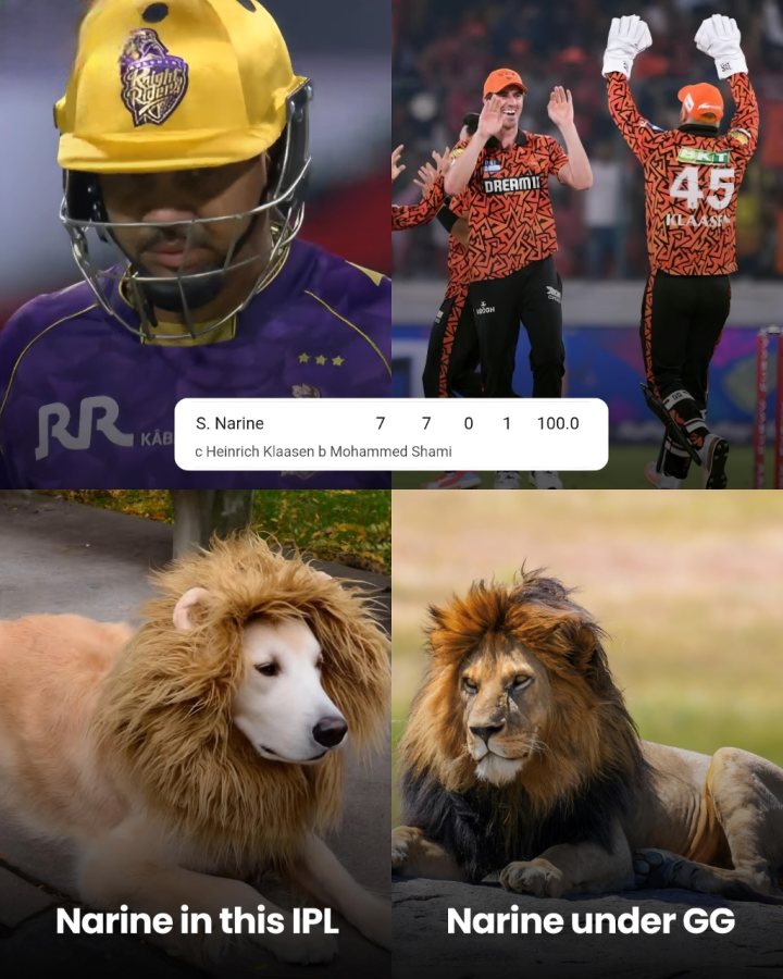 लौट आओ पुराने सुनील नरेन