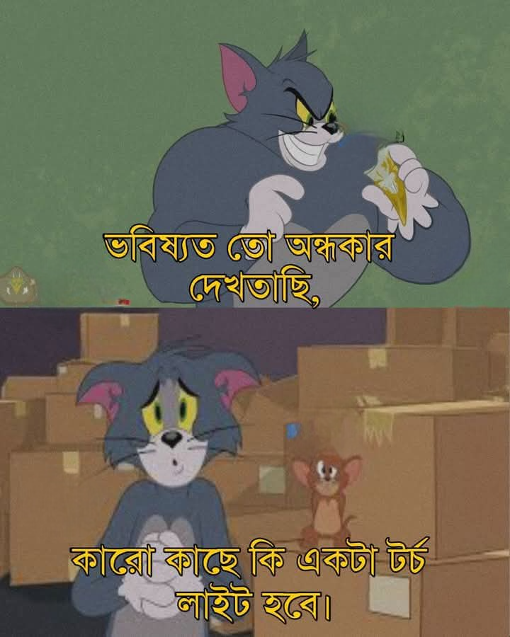কারো কাছে আছে সেই টর্চ লাইট?