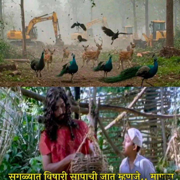 सगळ्यात विषारी जातीचा साप म्हणजे माणूस