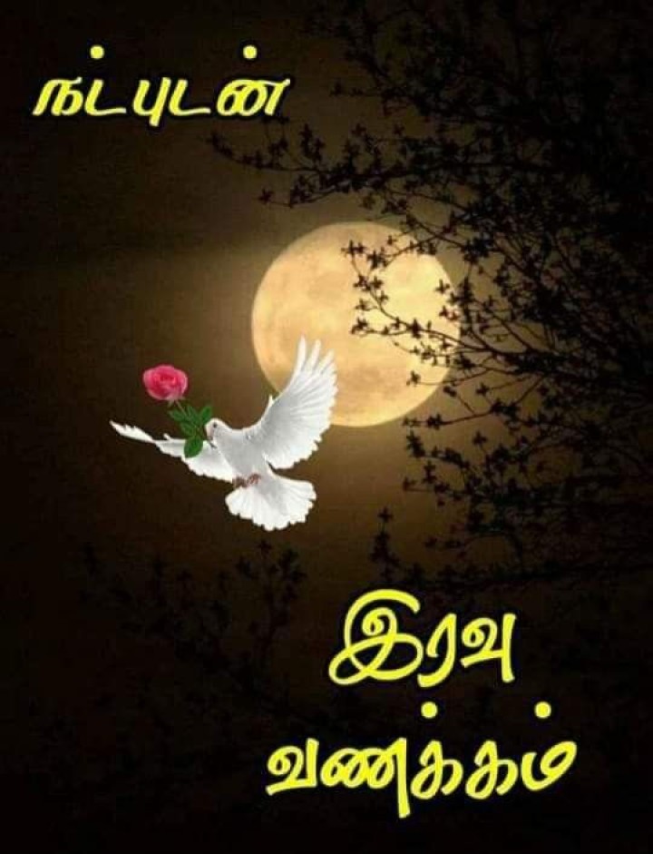 விழிகளை மூடி கவலைகளை மறந்து நிம்மதியாக உறங்கு..இனிய இரவு வணக்கம்.