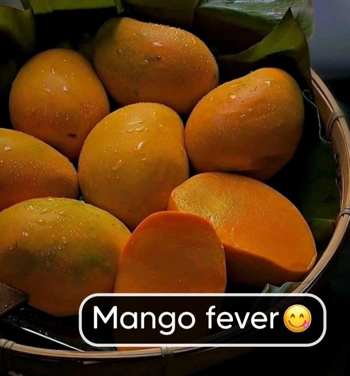 Mango fever