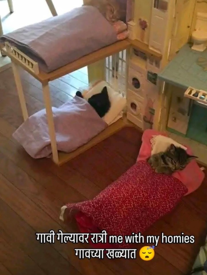 गावी गेल्यावर रात्री