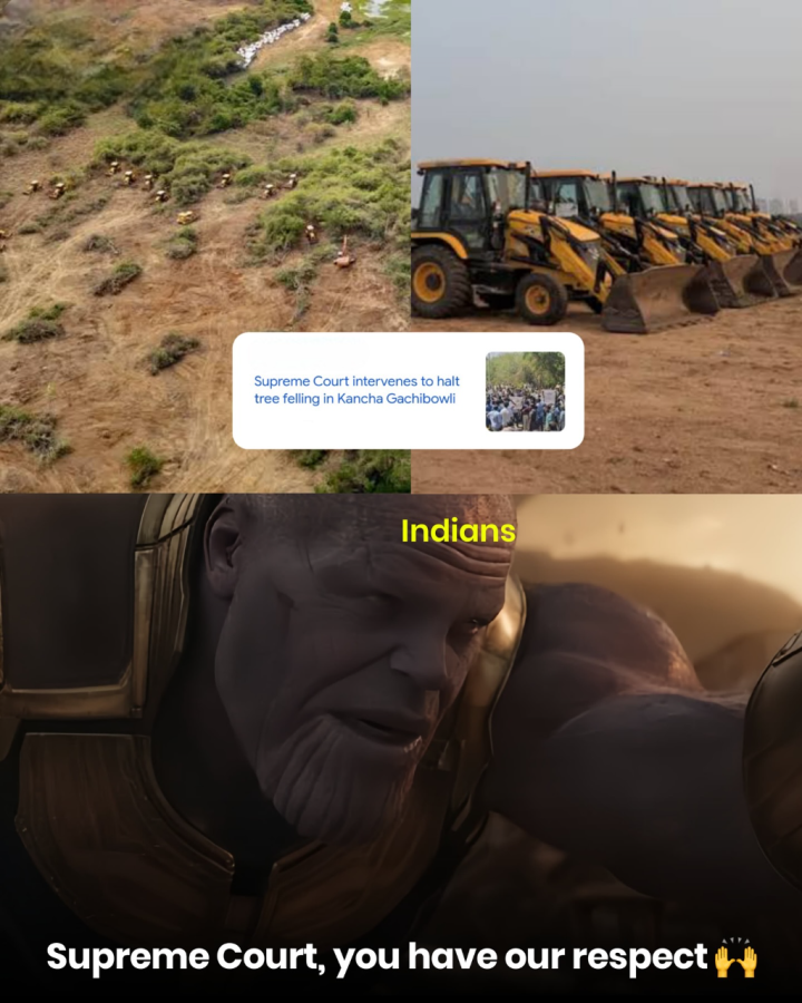 Full Respect है जी