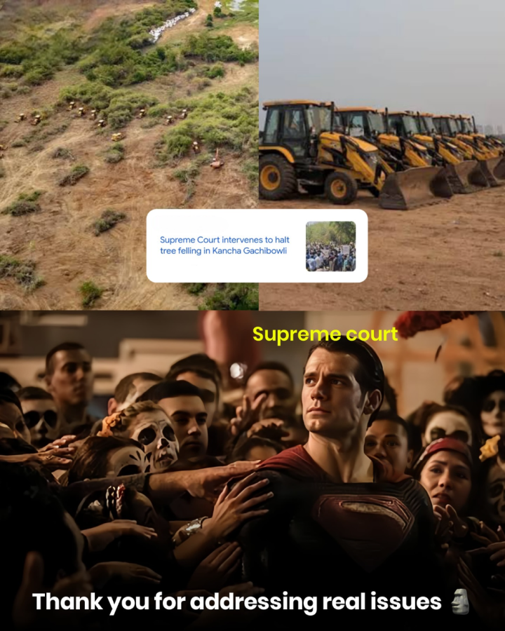 बहुत मस्त काम करते हो