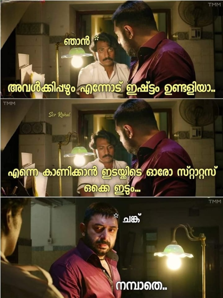 നിന്നെ കാണിക്കാൻ ആണെന്ന് നിന്നോടാരാ പറഞ്ഞെ..