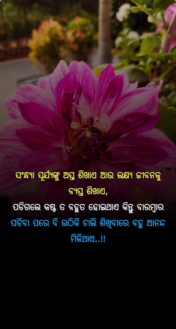 ଲକ୍ଷ୍ୟ ଜୀଵନକୁ ବ୍ୟସ୍ତ ଶିଖାଏ