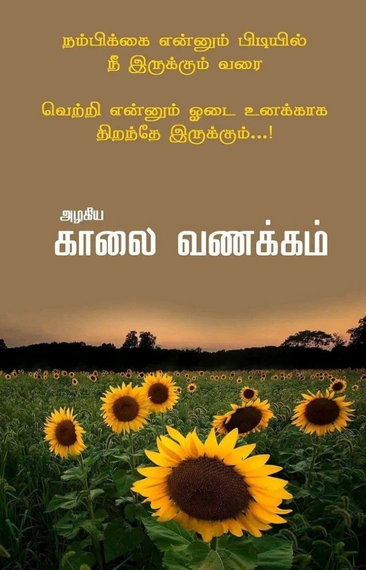 மலரும் காலை மகிழ்ச்சியாக இருக்கட்டும் இனிய காலை வணக்கம்