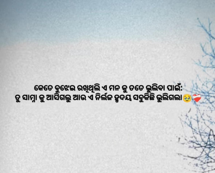 କେତେ ବୁଝେଇ ରଖିଥିଲି