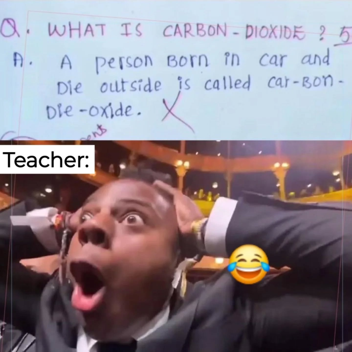 The carbon dioxide(CO2)!