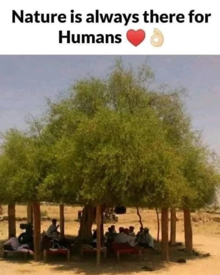 Nature is there just be with it.