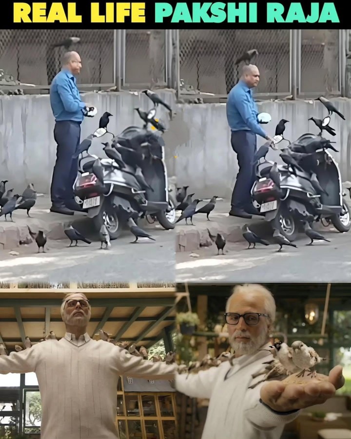 Pakshi raju fictional eeyana real
