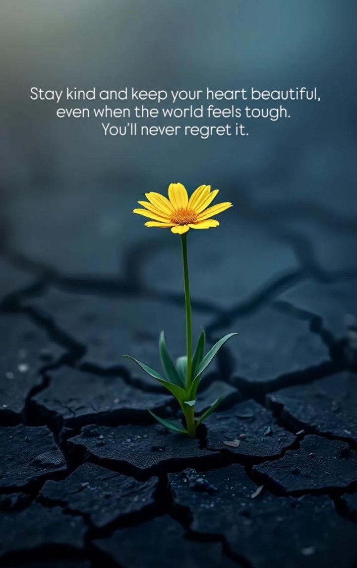 Stay kind and keep your heart beautiful