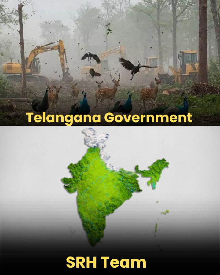 बहुत मस्त काम करते हो SRH टीम