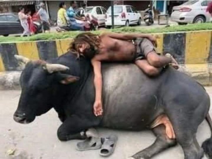 Sensex crash tarvata investor bull ela unnayante