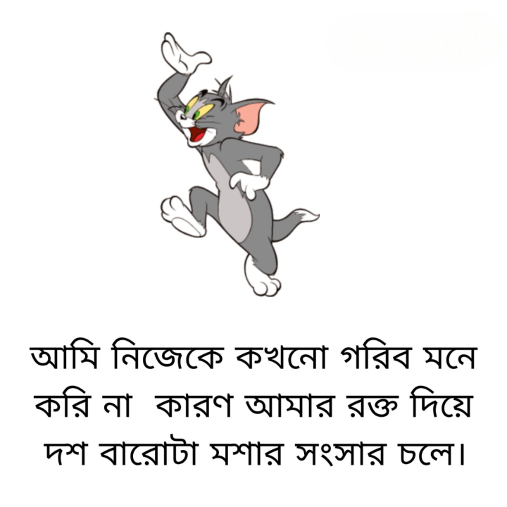 আমার রক্তে চলে মশার সংসার।