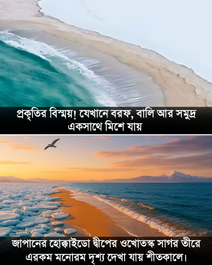 প্রকৃতির বিস্ময়কর সৃষ্টি...