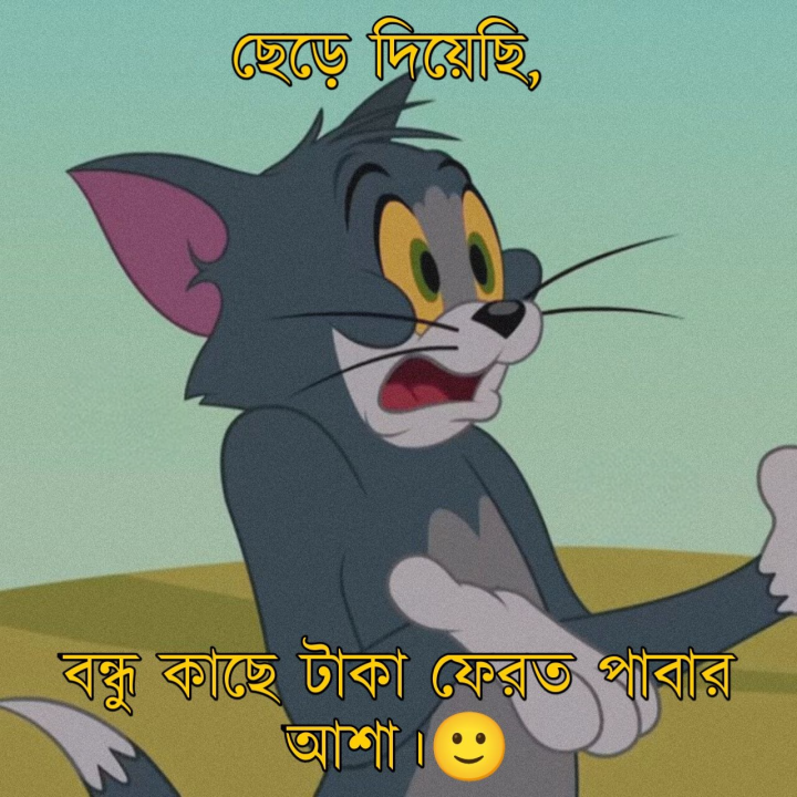 ছেড়ে দিয়েছি।