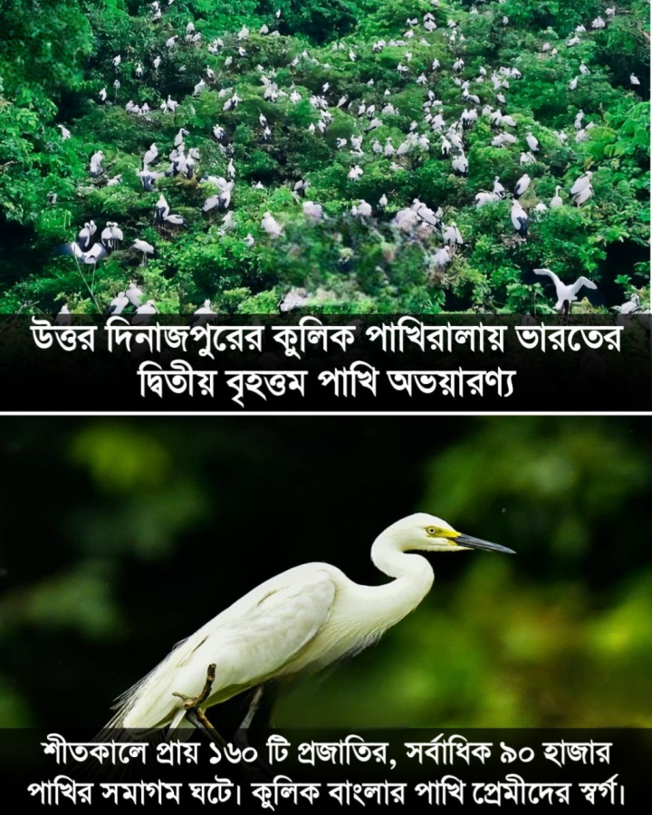 আমাদের রাজ্যের উত্তর দিনাজপুরের এই পাখিরালয় গেছেন?