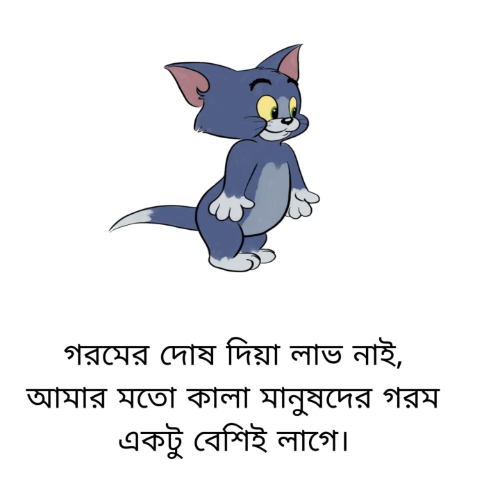 গরম বেশি লাগার কারণ।