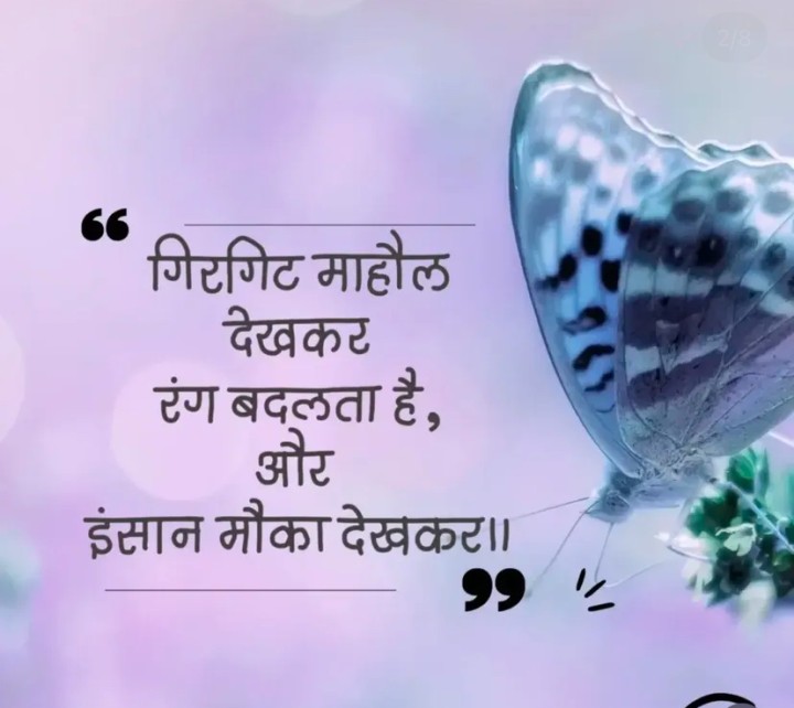 Girgit insan se behtar hai