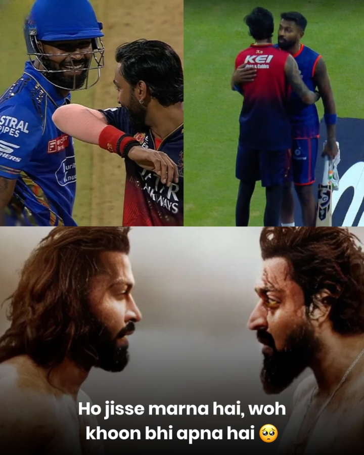 दो भाई, दोनों तबाही