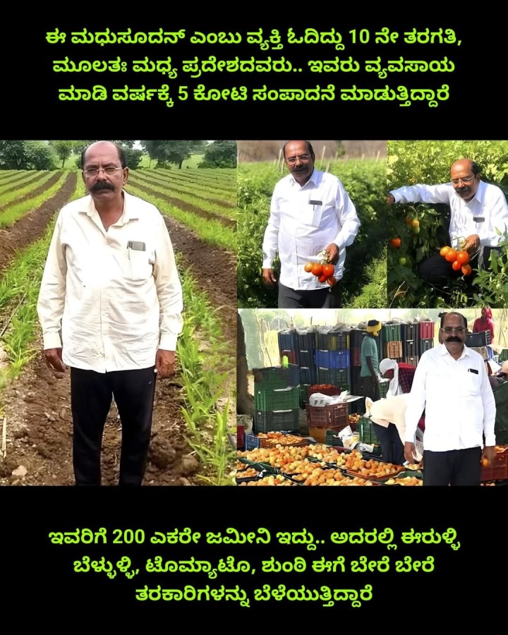 ಇವರಿಗೆ 200 ಎಕರೇ ಜಮೀನಿ ಇದ್ದು.. ಅದರಲ್ಲಿ ಈರುಳ್ಳಿ ಬೆಳ್ಳುಳ್ಳಿ, ಟೊಮ್ಯಾಟೊ, ಶುಂಠಿ ಈಗೆ ಬೇರೆ ಬೇರೆ ತರಕಾರಿಗಳನ್ನು ಬೆಳೆಯುತ್ತಿದ್ದಾರೆ