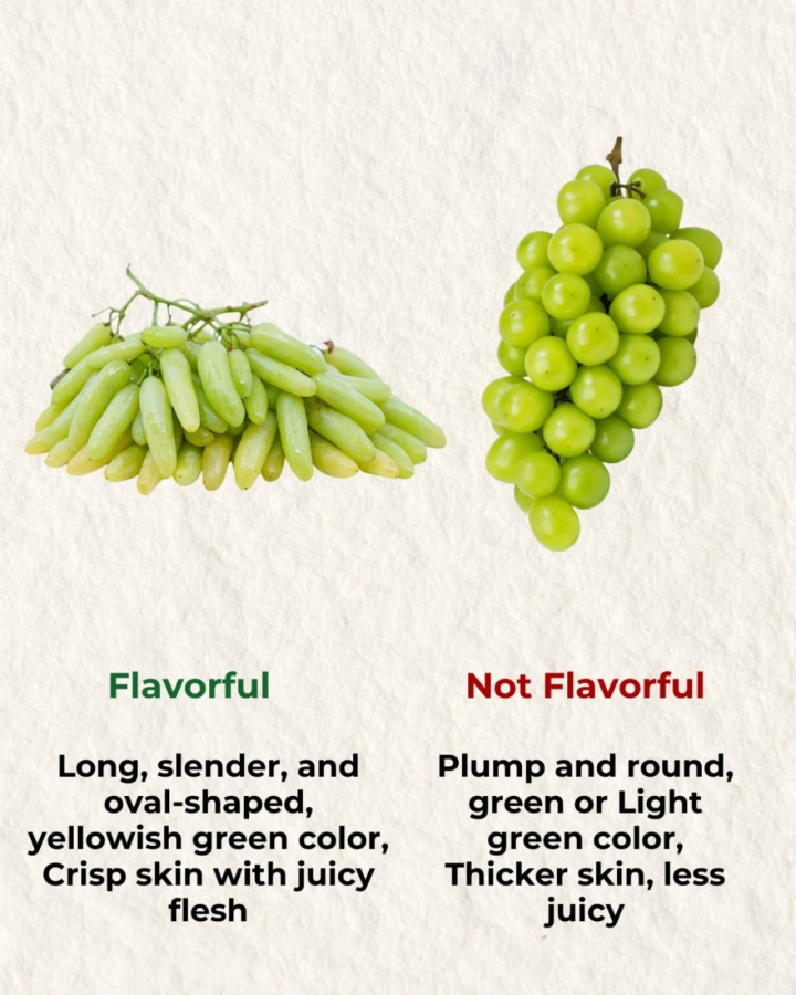 Which grep is good just get to know.