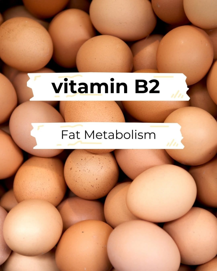 It is about vitamin B2.