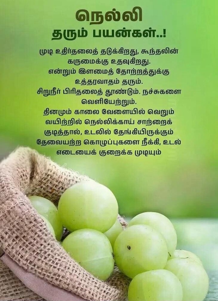 நெல்லி தரும் பயன்கள்