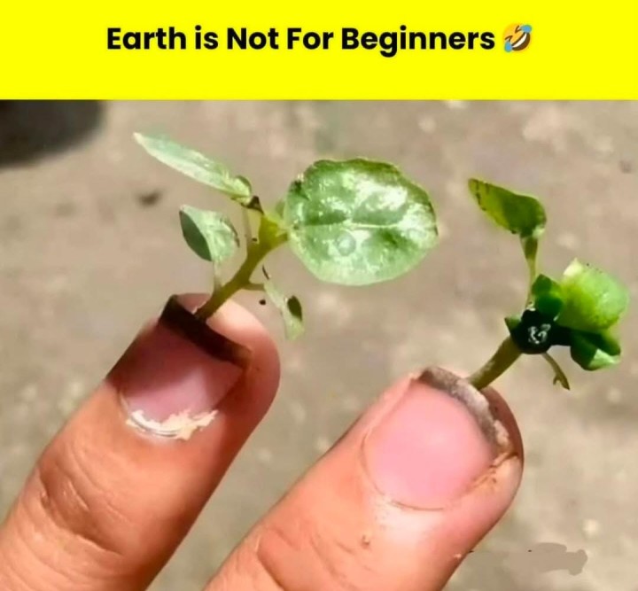 Earth is not for beginners