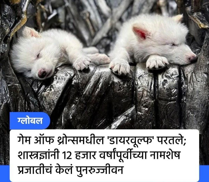 डायर वोल्फ चे पुनरुज्जीवन
