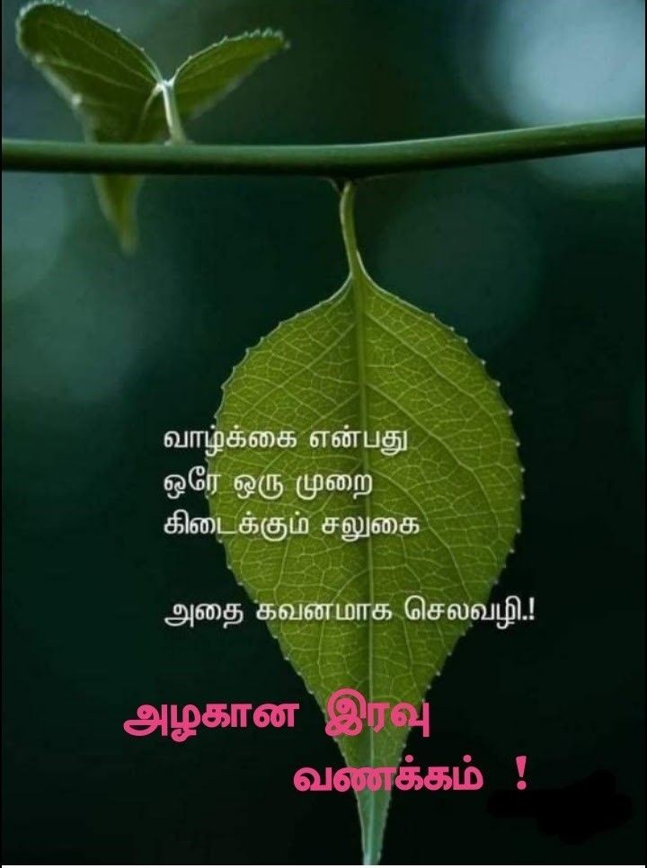 இனிய இரவு, இனிய கனவுகள்!