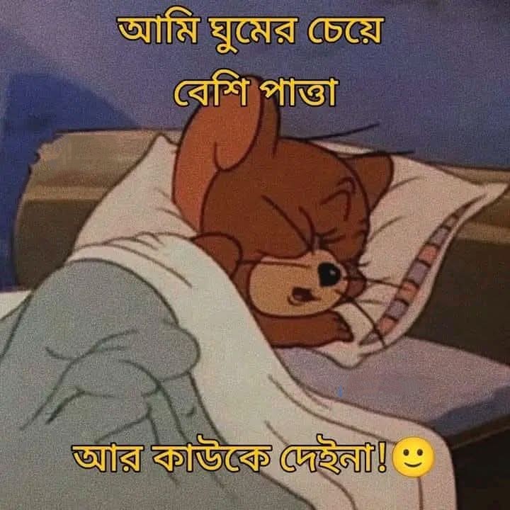সবচেয়ে বেশি পাত্তা?