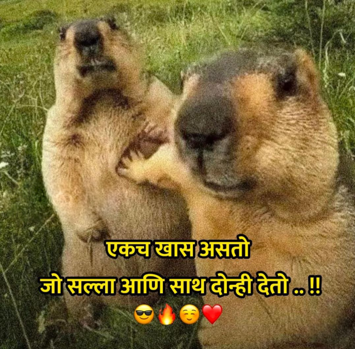 सल्ला आणि साथ देणारा एकच खास असतो