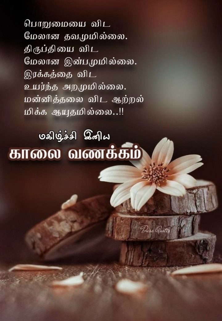மலரும் காலை மகிழ்ச்சியாக இருக்கட்டும் இனிய காலை வணக்கம்
