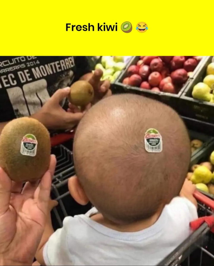 Fresh kiwi