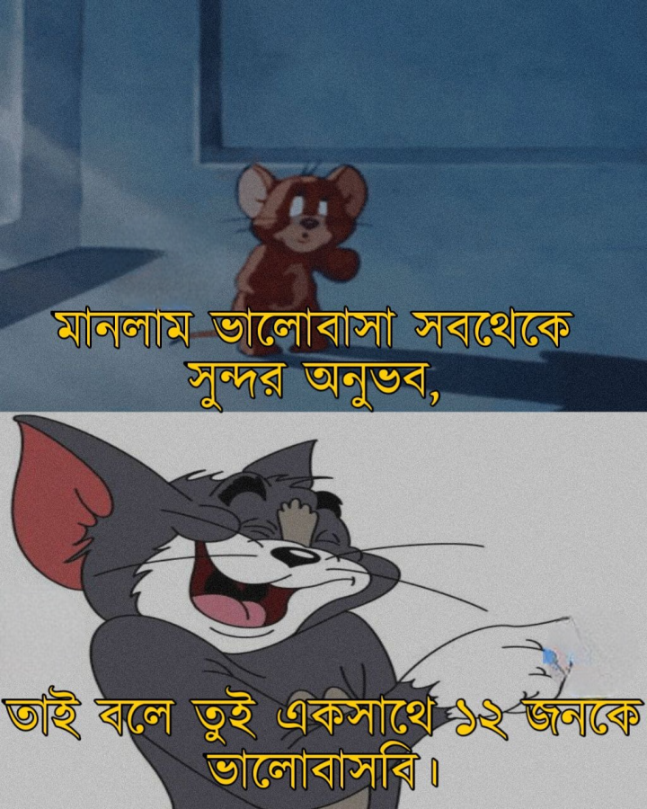 ভালোবাসার বারো কথা ?