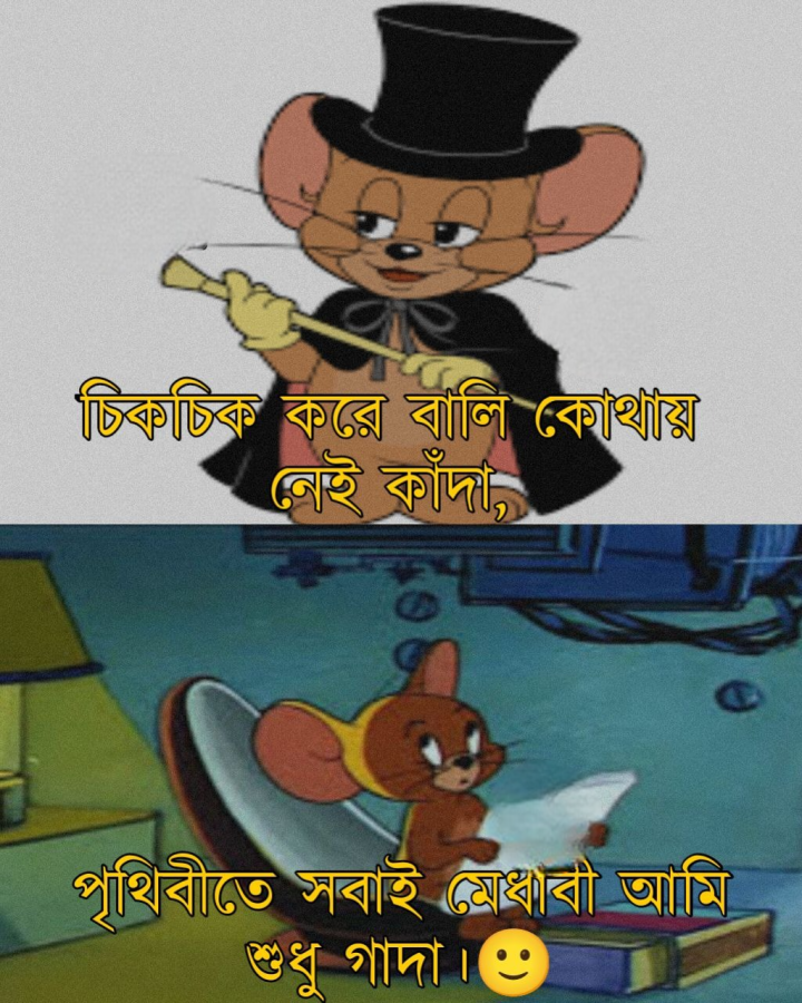 আমি শুধু গাধা ?