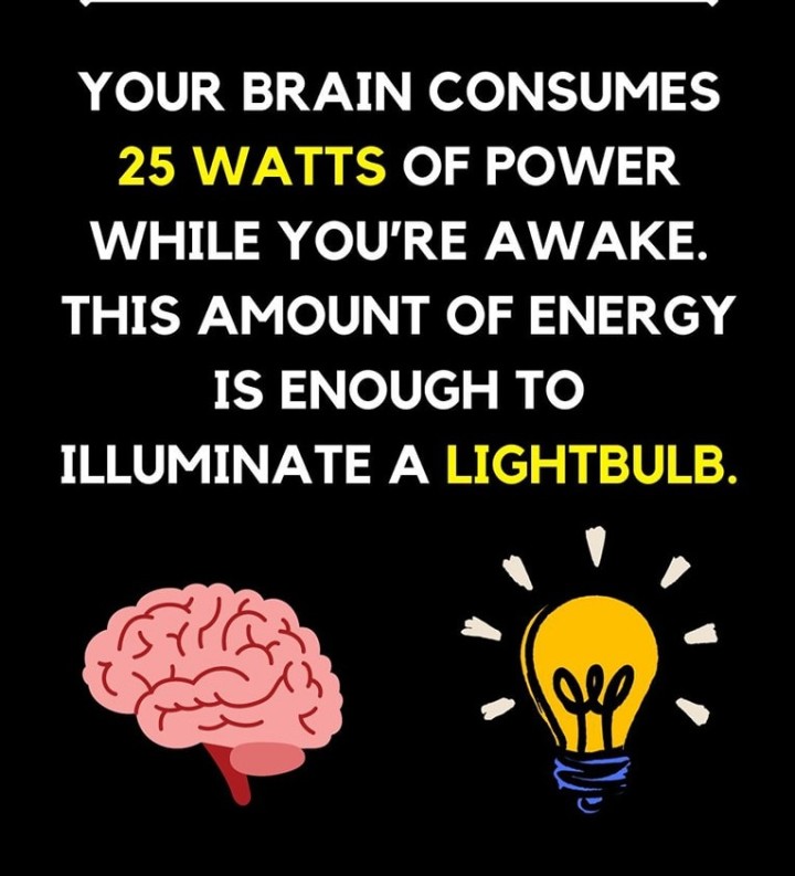 Our brain consumes 25 watts of power.