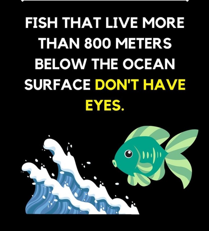 Did you know?