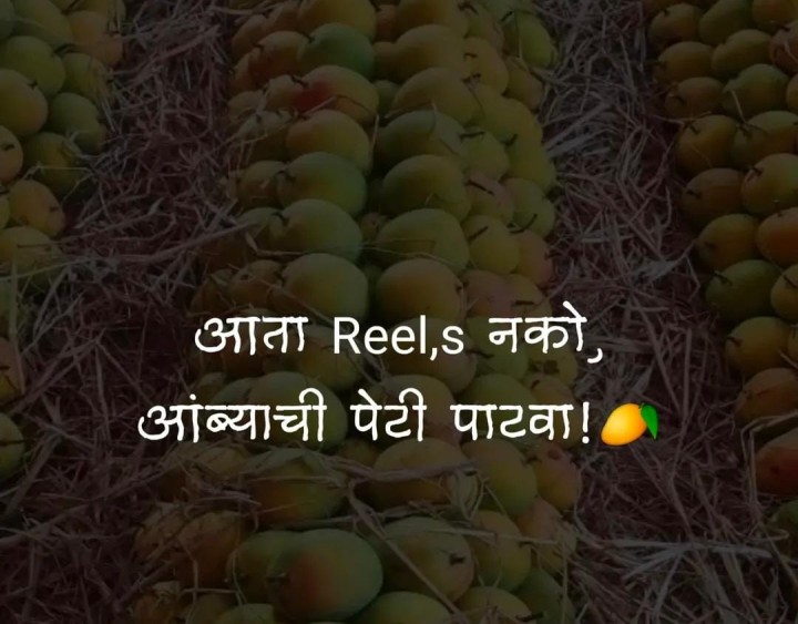 रिल्स नको आंब्याची पेटी पाठवा