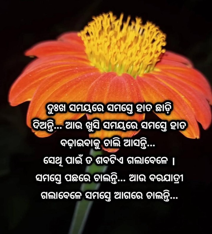 ଦୁଃଖ ସମୟ ରେ ସମସ୍ତେ ହାତ ଛାଡ଼ି ଦିଅନ୍ତି