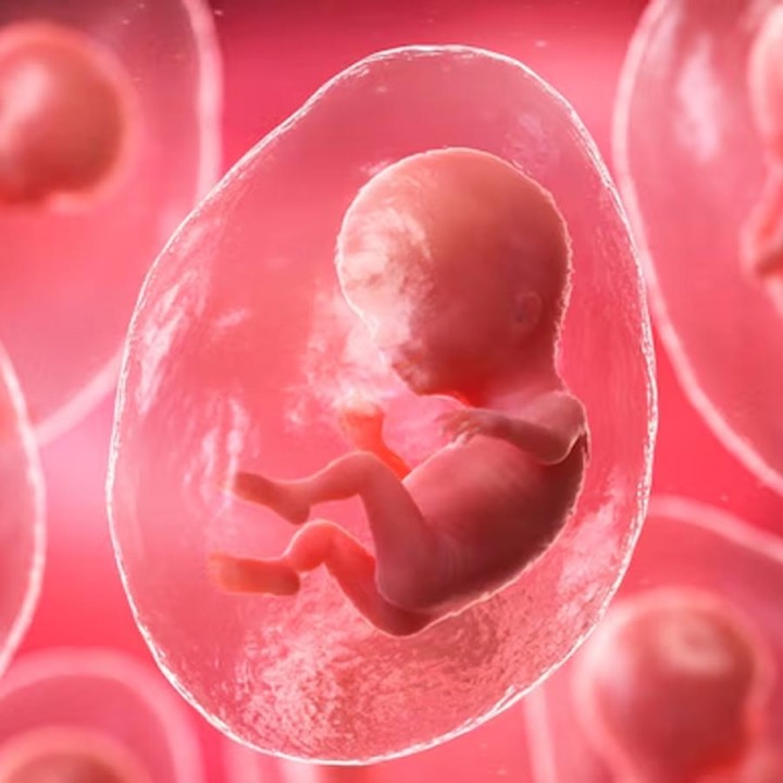 সাধারণ আইভিএফ পদ্ধতি বার বারই ব্যর্থ হচ্ছিল। পরে কৃত্রিম বুদ্ধিমত্তার সাহায্যে আইভিএফ করেন চিকিৎসকেরা। আর ওই পদ্ধতিতেই পুত্রসন্তানের জন্ম দেন ৪০ বছরের এক মহিলা।