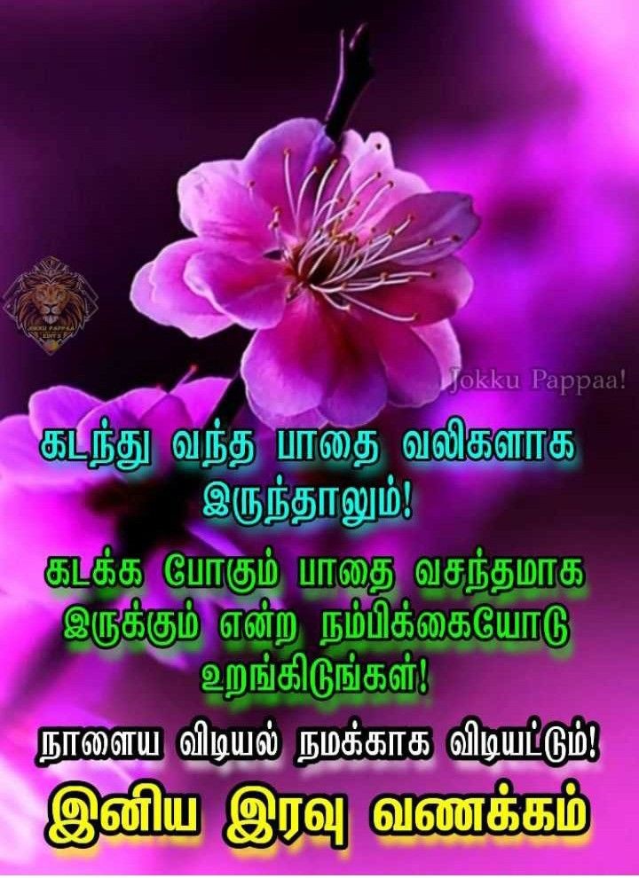 இனிய கனவுகள் காணுங்கள்!
