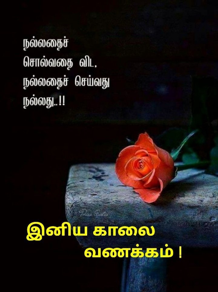 எப்போதும் மகிழ்ச்சியாக இருங்கள்! இனிய காலை!