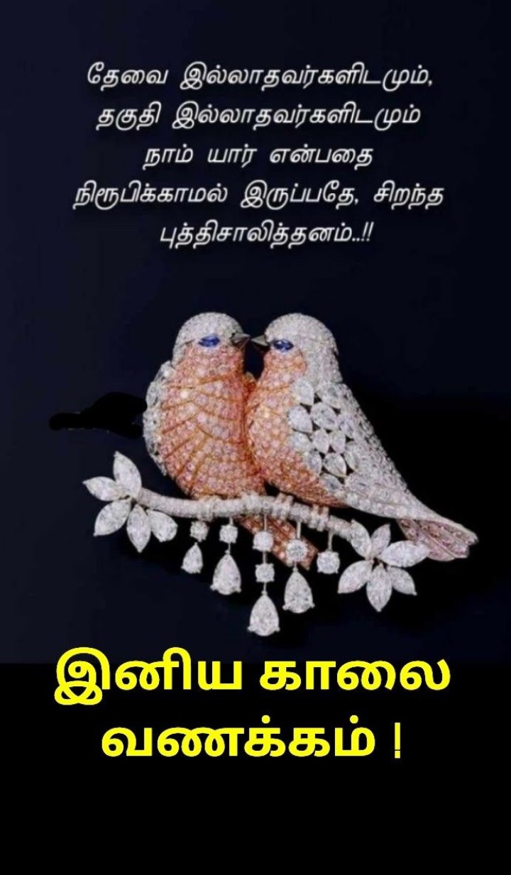 காலை வணக்கம்!