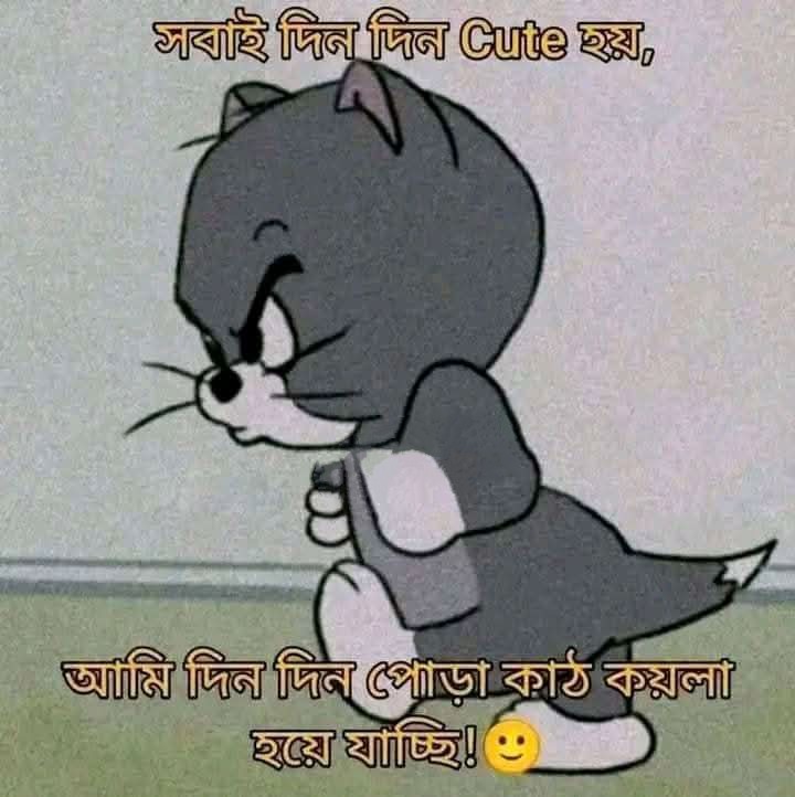 কাঠ কয়লা?